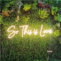 Customized neon signs