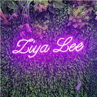 Customized neon signs